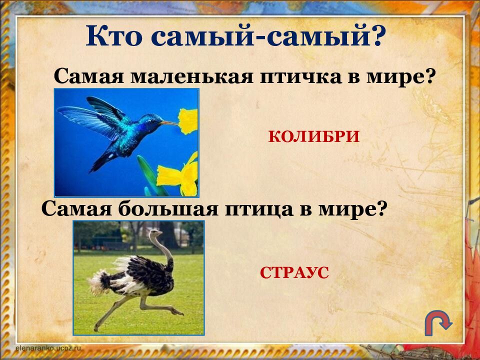 Путешествие по Школьной стране