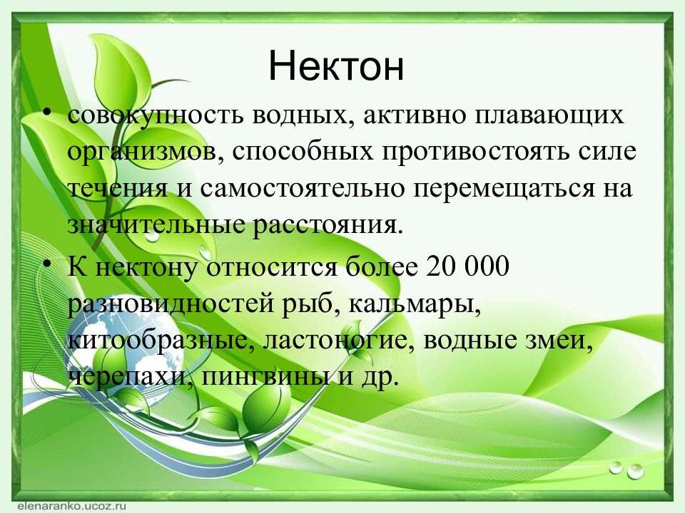 Водный совокупность. Совокупность активно плавающих водных организмов. Совокупность активно плавающих водных. Организмы способные сопротивляться силе лечения