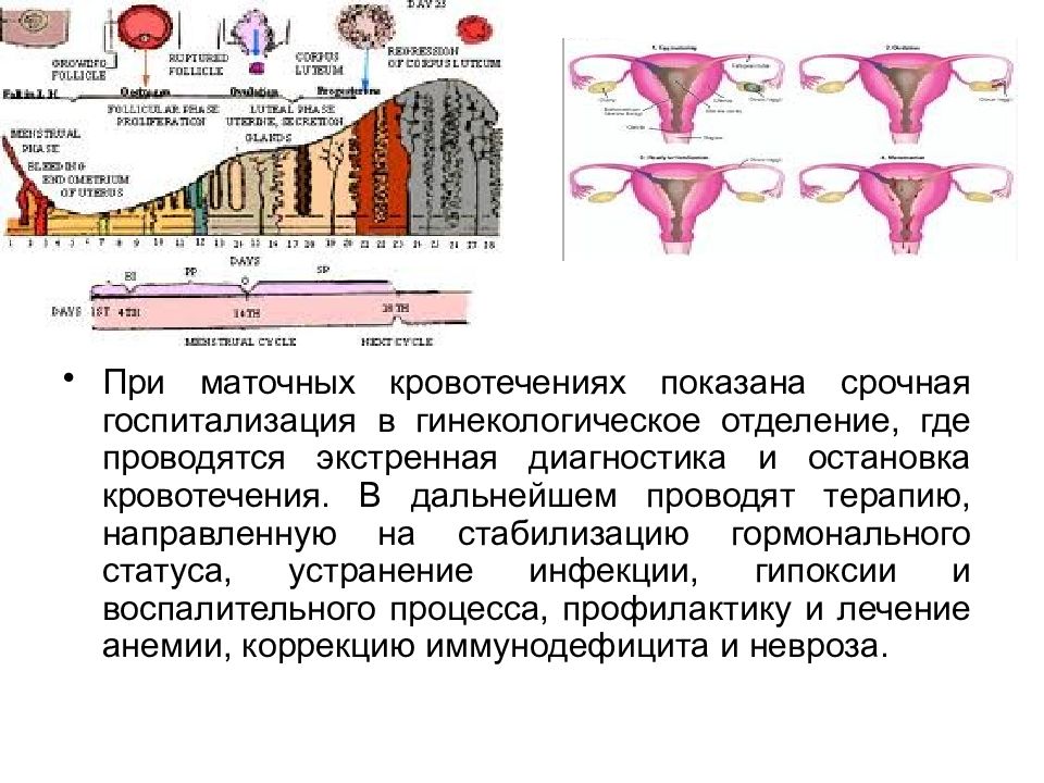 Гормональные маточные кровотечения. Гормональный гемостаз при маточных кровотечениях.