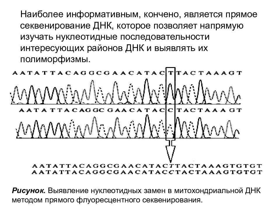 Тест популяционный уровень. Популяционная структура. Слайд 1 | структура популяции. Генетическая структура. Изменчивость природных популяций. Генетическая структура популяций.