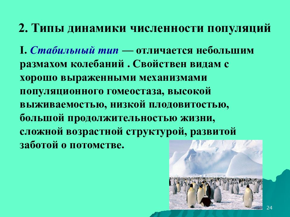 Стабильный тип. Типы динамики популяций. Типы динамики численности. Стабильный Тип популяции. Численность популяции, типы динамики численности.