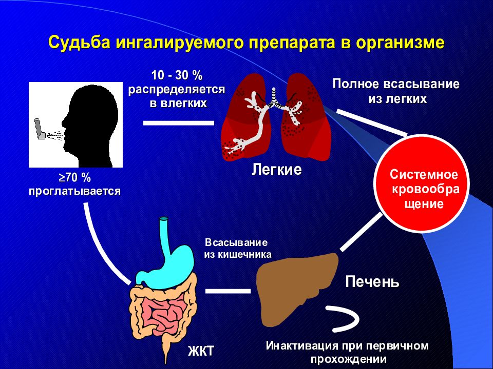 Легкие и печень взаимосвязь. Лекция 1.6 Су при бронхиальной астме. Органы мишени при бронхиальной астме. Увеличение печени при бронхиальной астме. Биологическая терапия при бронхиальной астме.