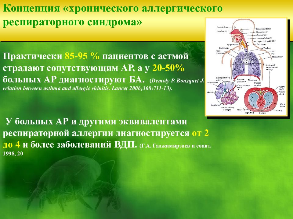 Аллерген специфическая иммунотерапия презентация