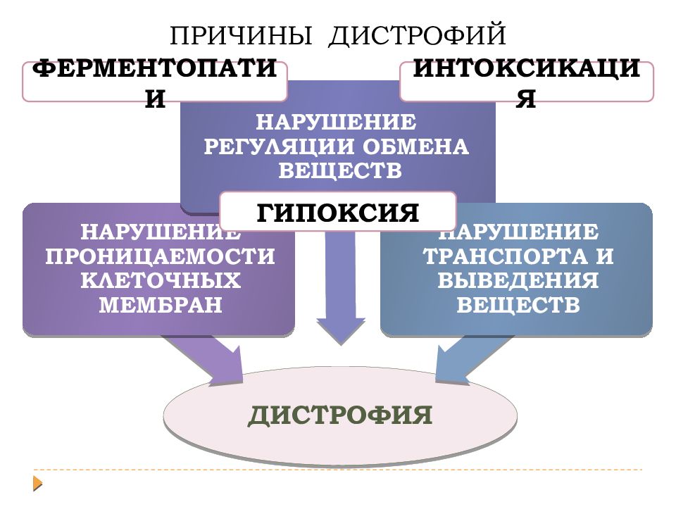 Презентация на тему дистрофия