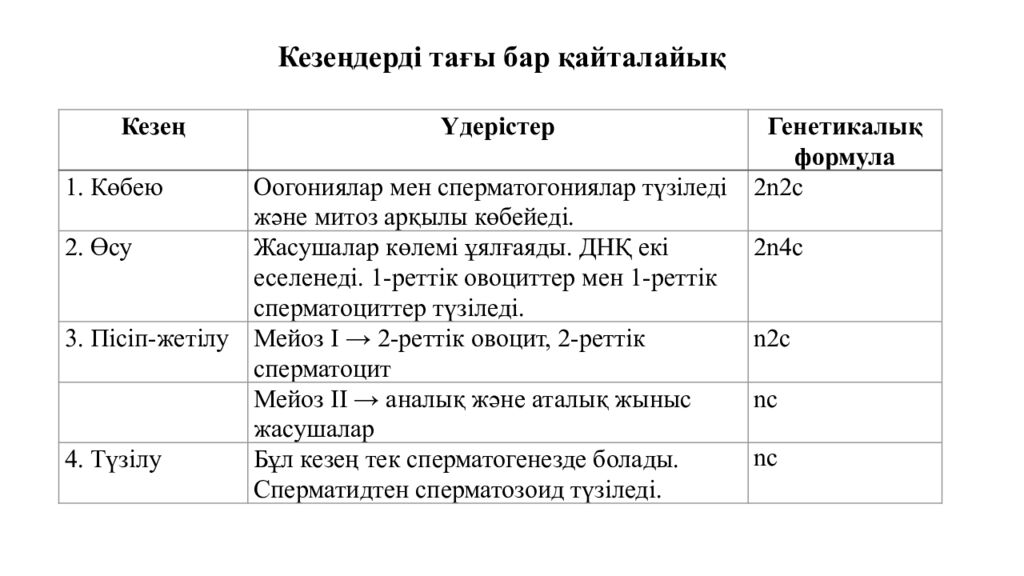 Гаметогенез. Адам гаметогенезінің сатылары. Сперматогенез бен оогенезді