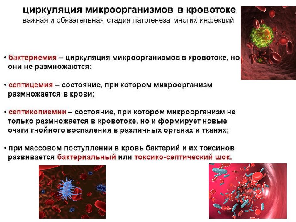 Состояния инфекционного процесса. Инфекция и инфекционный процесс. Инфекционный процесс это. Инфекционный процесс МДК. Инфекционные процессы в тканях.