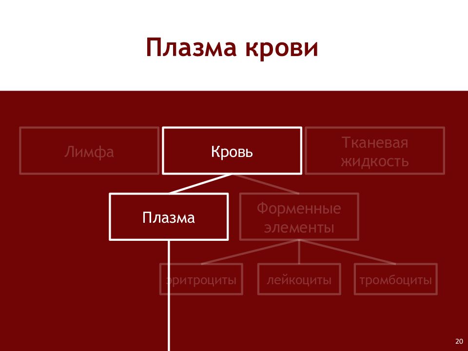 Плазма это форменный элемент. Кровь, плазма, лимфа,. форменные элементы лимфы. внутренняя среда организма кровь тканевая жидкость лимфа.