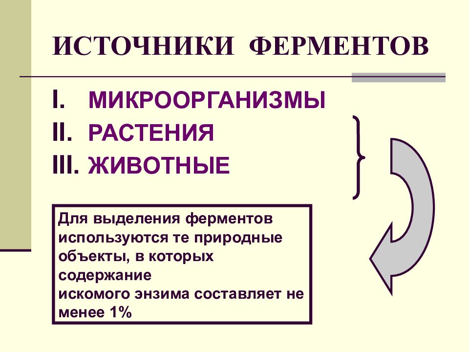 Презентация про ферменты