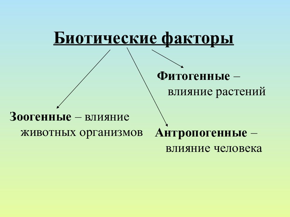 Фитогенные факторы картинки