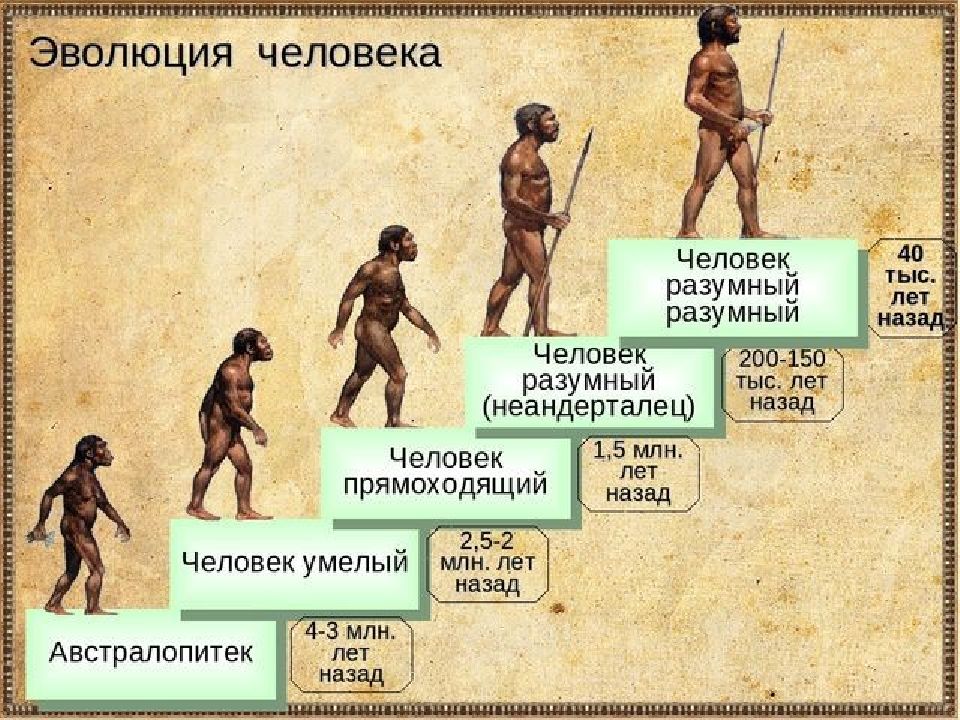 Рассмотрите рисунок отметьте сходство и различие между древним предком