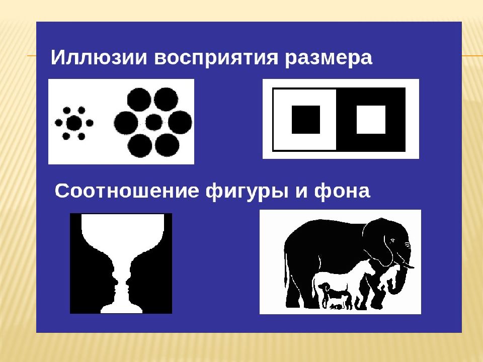 Презентацию иллюзии восприятия