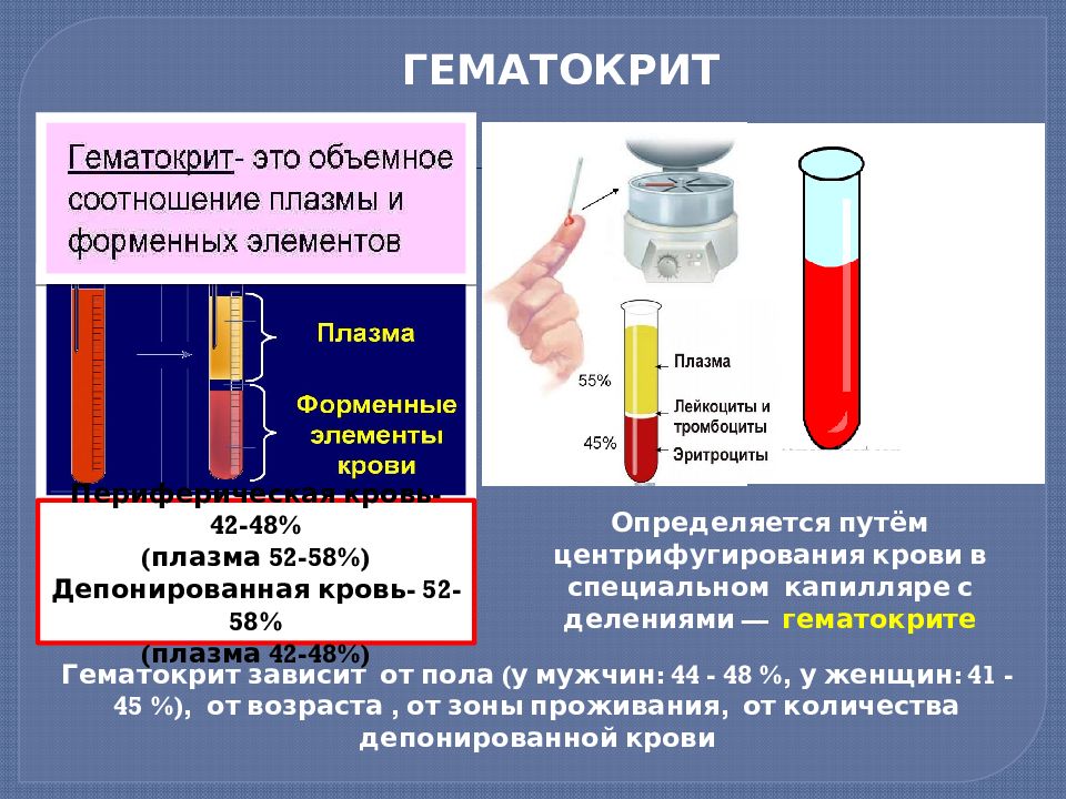 Эдта обеспечивает стабильность форменных элементов крови в образце