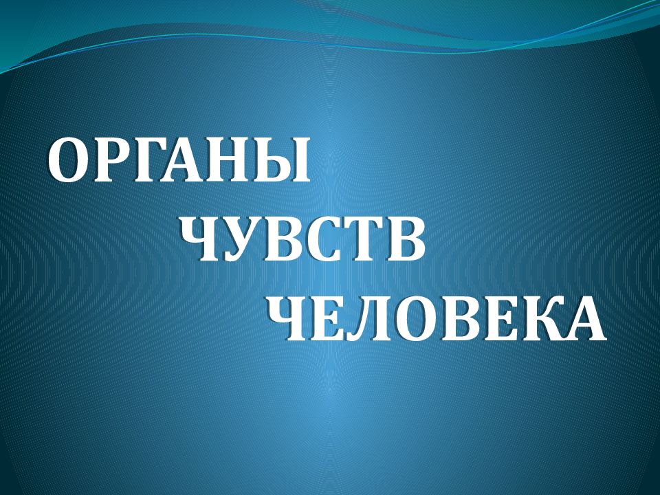 ОРГАНЫ ЧУВСТВ ЧЕЛОВЕКА