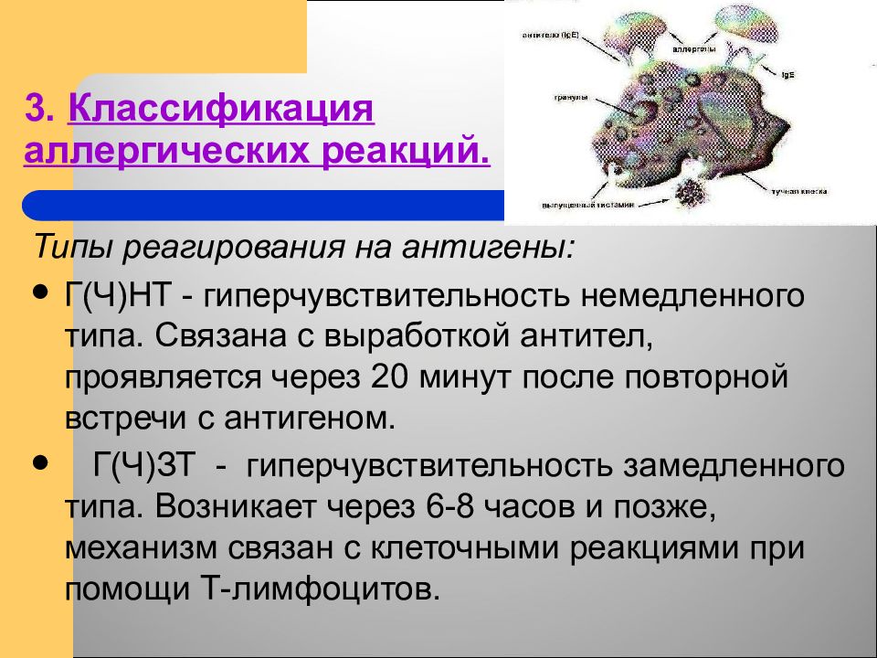 Основные формы иммунного реагирования