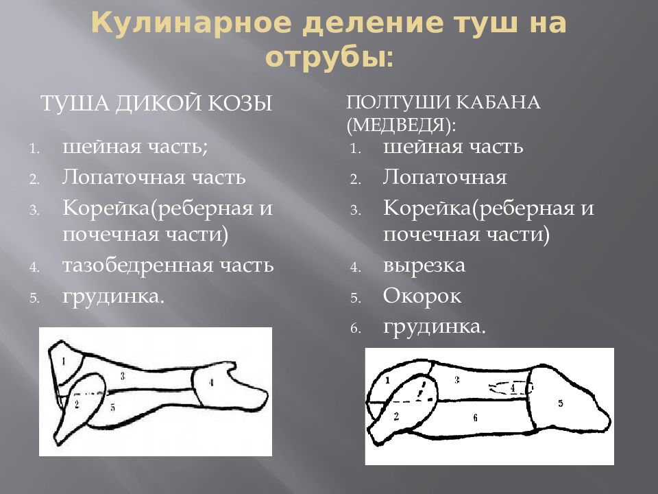 Схема разделки туши оленя