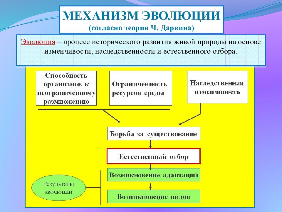 Определите какой эволюционный процесс изображен на схеме что является движущими силами факторами