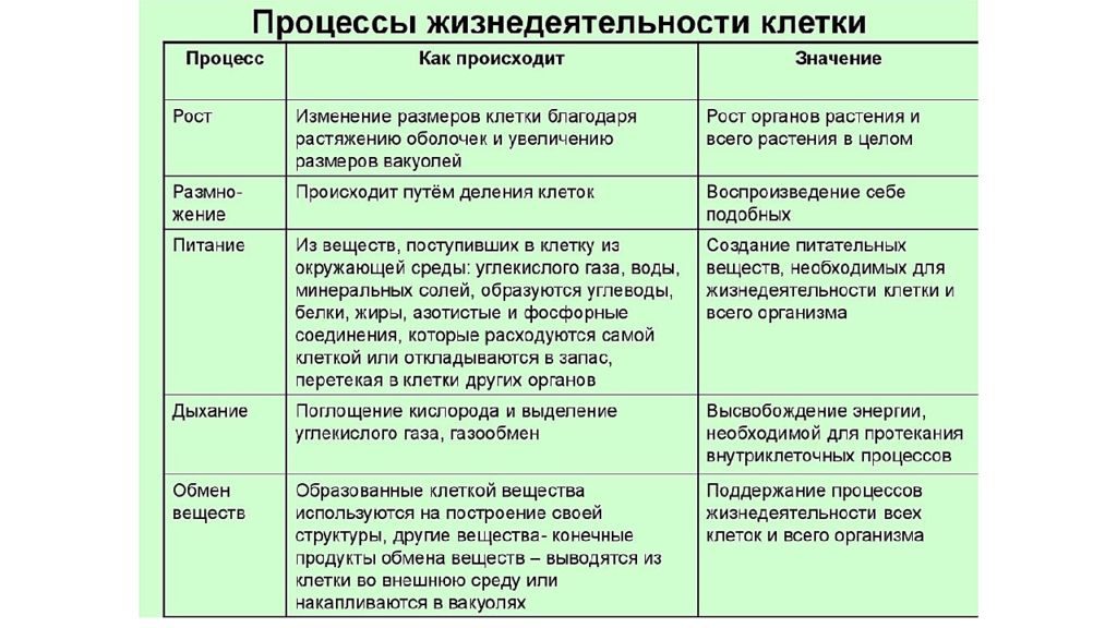 Жизнедеятельность организмов 5 класс биология презентация