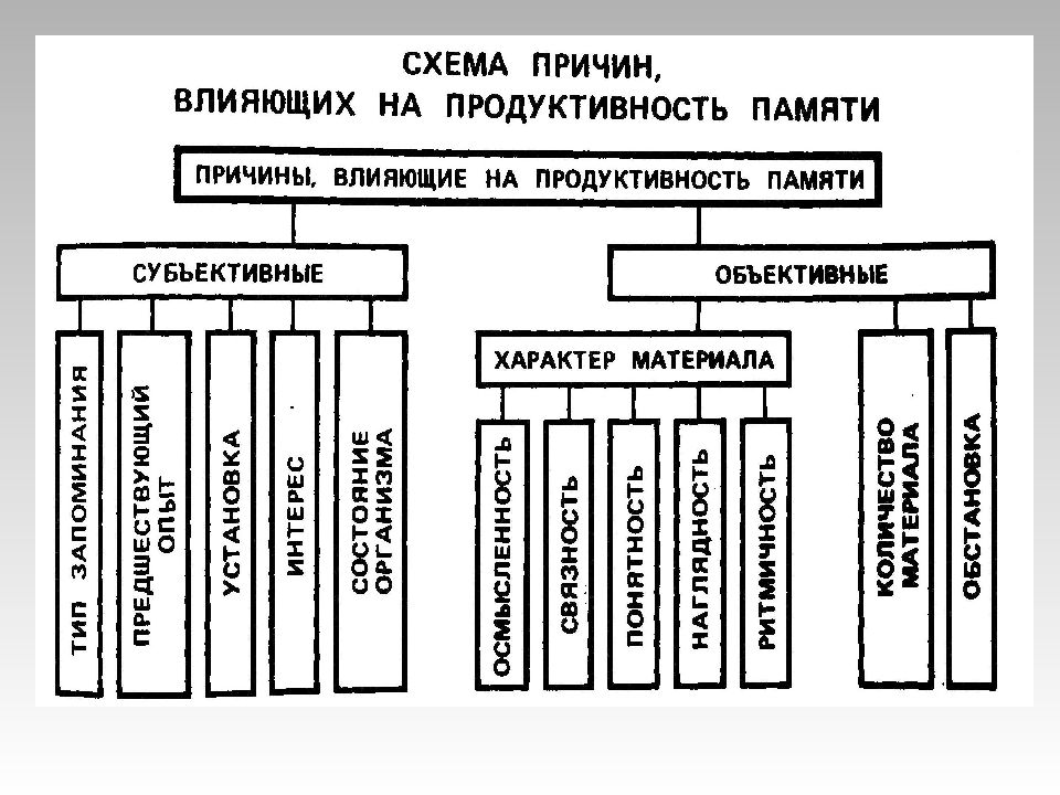 Заполните схемы восприятие объективное память представление память воображение