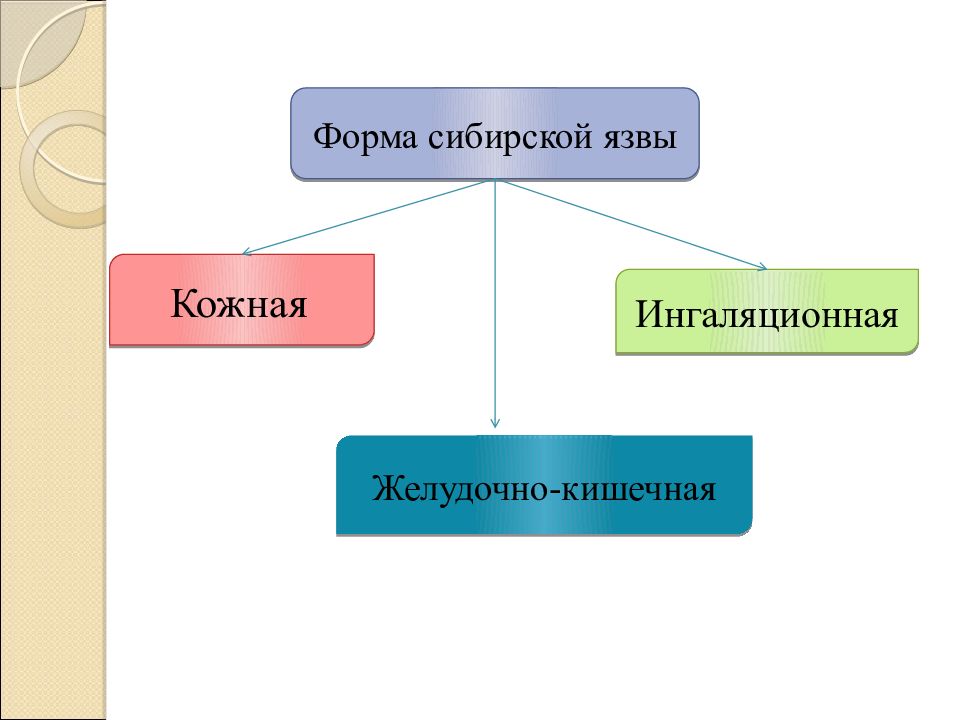 Сибирская форма