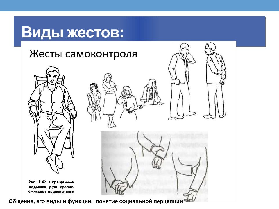 Понятие социальной перцепции презентация