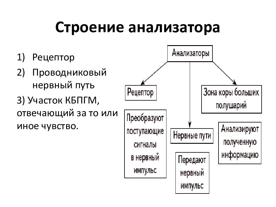 Анализатор текста