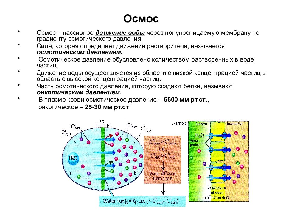 Осмос вещество