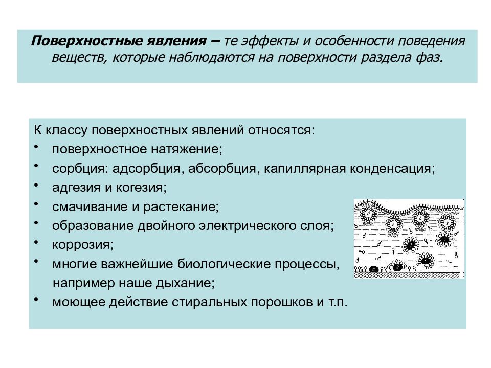 Поверхностные явления презентация