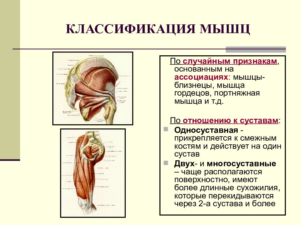 Случайный признак