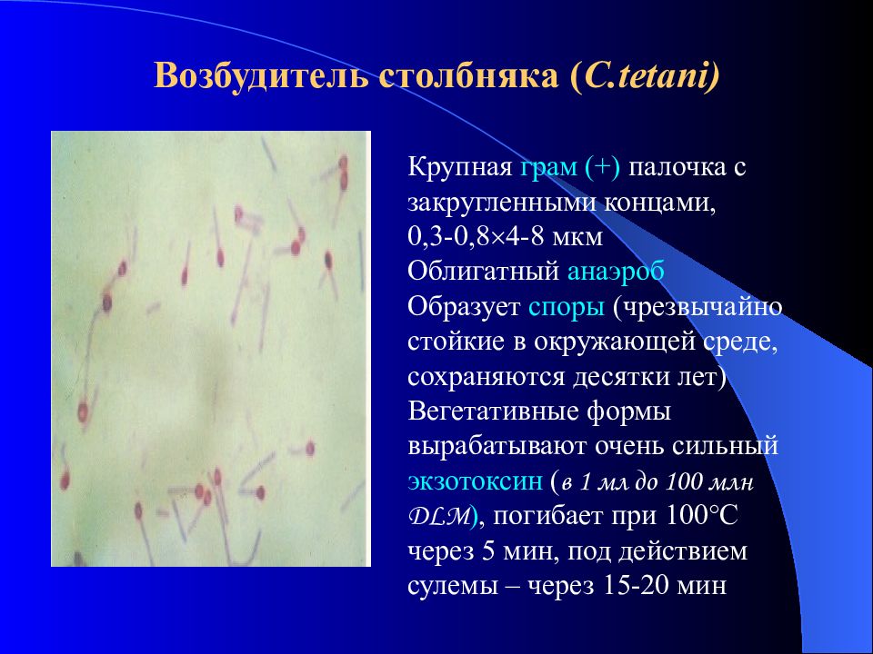 Презентация на тему столбняк микробиология