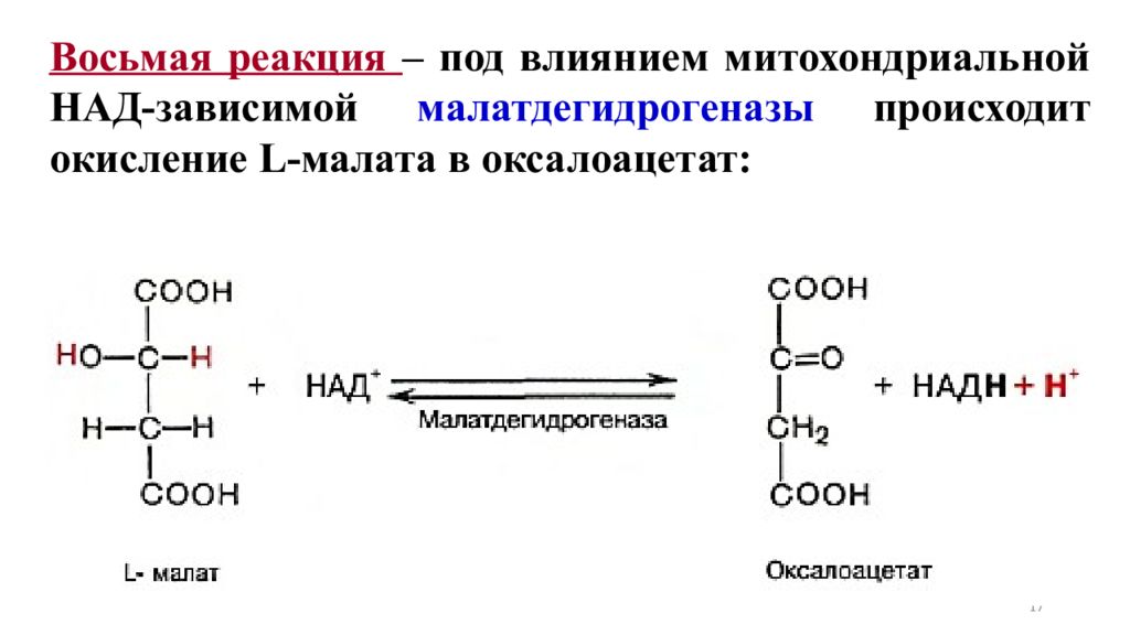 Под реакция. Малат в оксалоацетат реакция. Дегидрирование малата (яблочной кислоты). Оксалоацетат в малат Тип реакции. Малат в оксалоацетат кофермент.