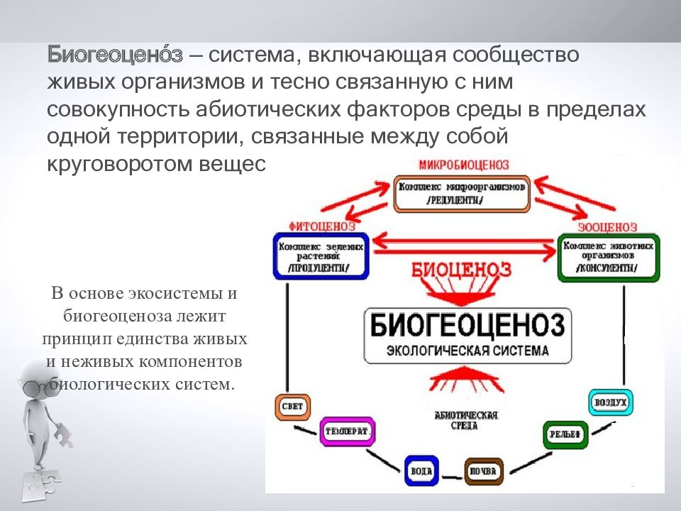 Связывая территории. Биогеоценоз это система включающая сообщество живых организмов. Сообщество живых организмов и тесно связанных с совокупностью. Характеристика человека в системе живых организмов. Компании связанные между собой.