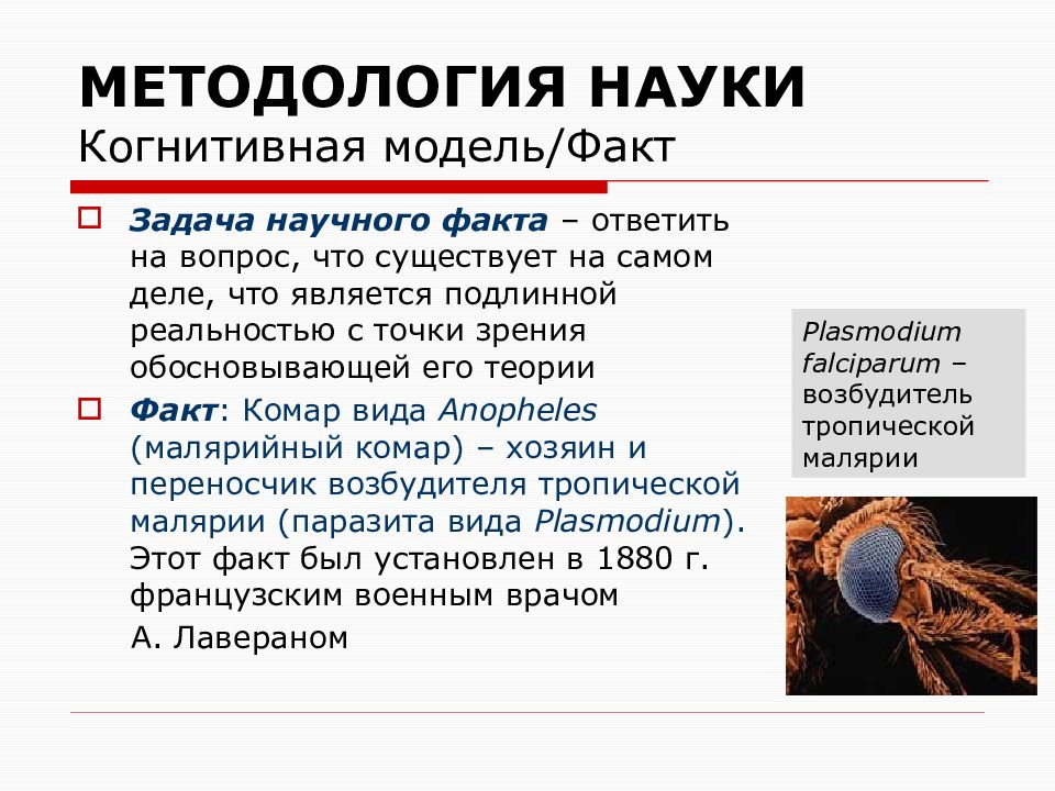 Задача факт. Задачи методологии науки. Научный факт это в философии. Факты о задачах. Научная задача.