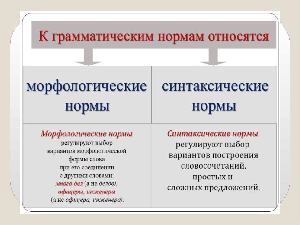 Грамматические и лексические нормы русского языка презентация