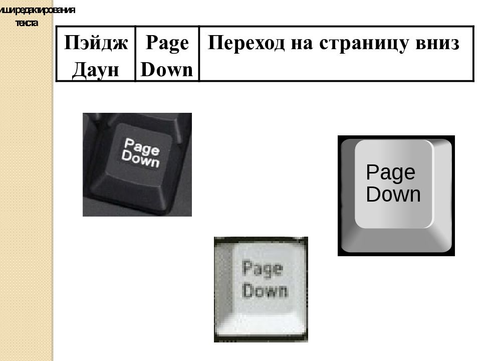 Презентация текстовый редактор 5 класс