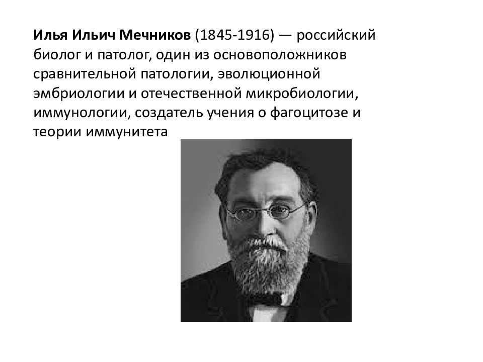 Теория иммунитета мечникова. Создатель сравнительной патологии. Создатель сравнительной патологии эволюционной эмбриологии. Теории иммунитета.