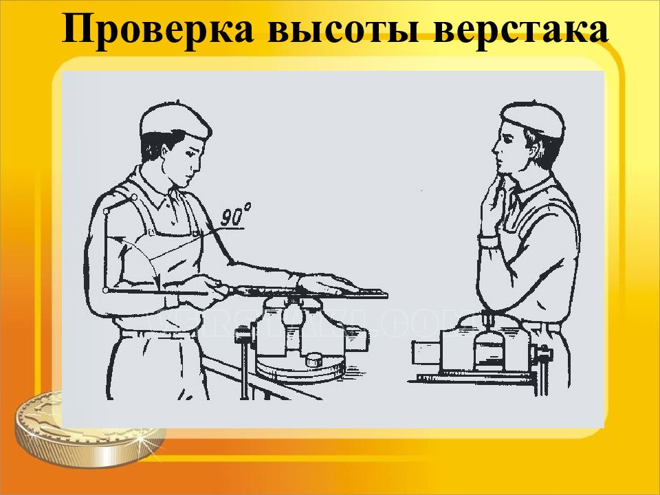 Высота проверка. Высота слесарного верстака для работы стоя с тисками. Высота верстака при росте 190. Правильная высота верстака. Высота верстака слесарного.