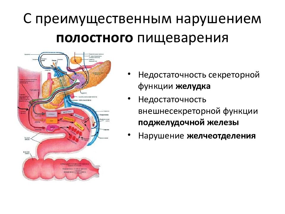 Хронический кишечный колостаз у детей презентация