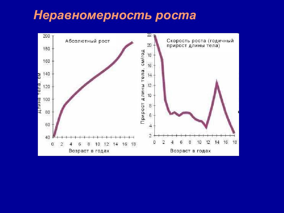 Абсолютный рост. Неравномерность роста ребенка. Неравномерность полосы. Неравномерность картинки на тему.