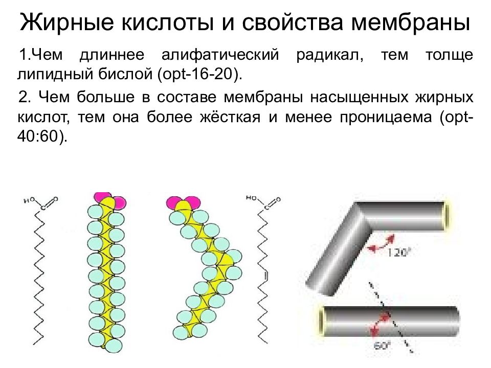 Характеристика мембраны. Физические свойства мембран. Физико-химические свойства мембран. Физические свойства биологических мембран. Физические свойства и параметры мембран.