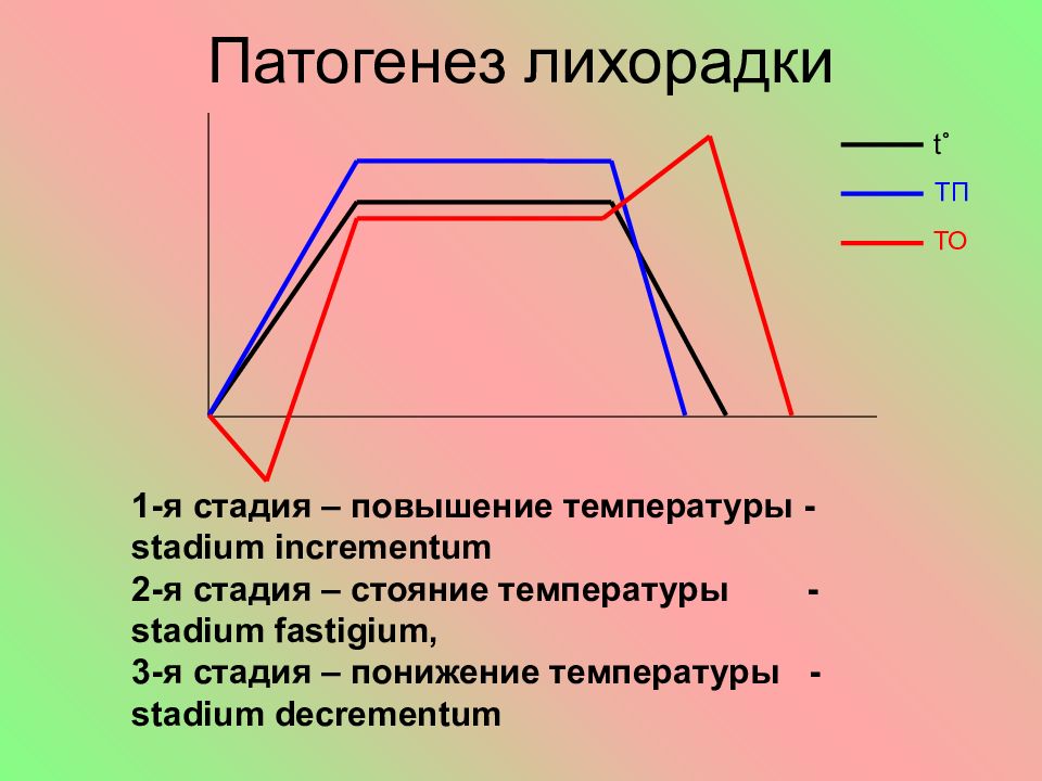 Схема патогенеза лихорадки