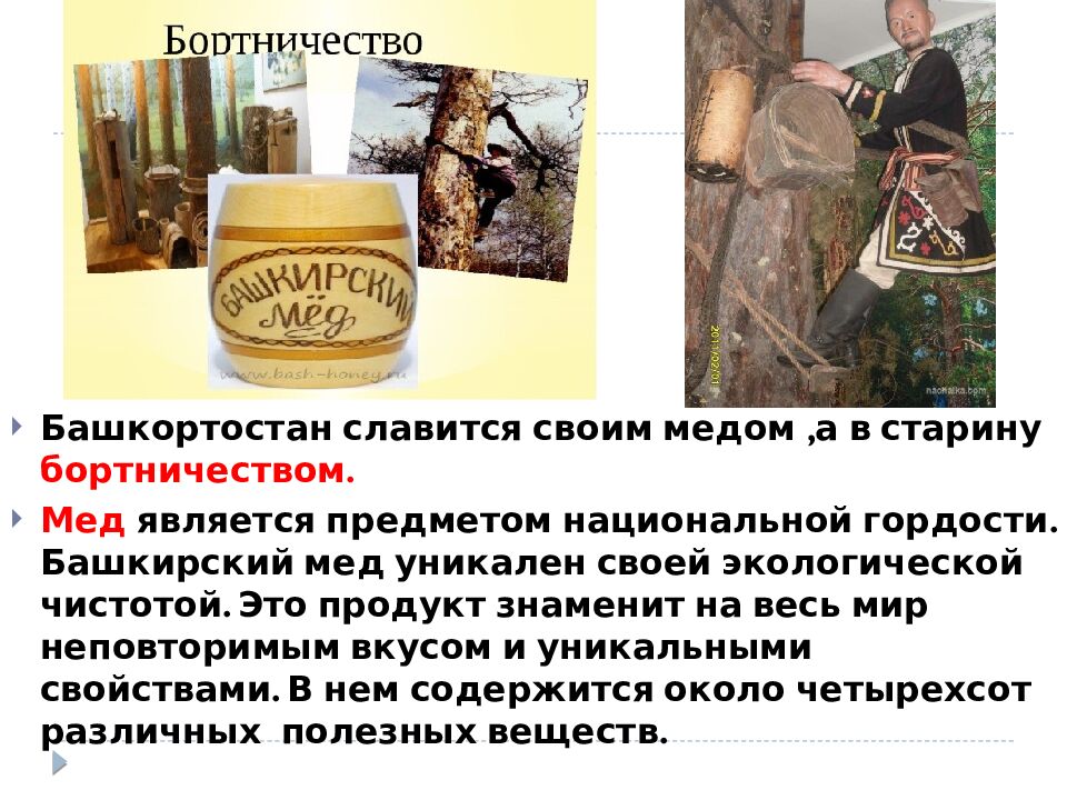 тема: « Башкирская национальная кухня »