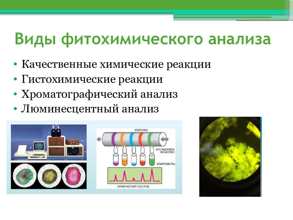 Фитохимический анализ презентация