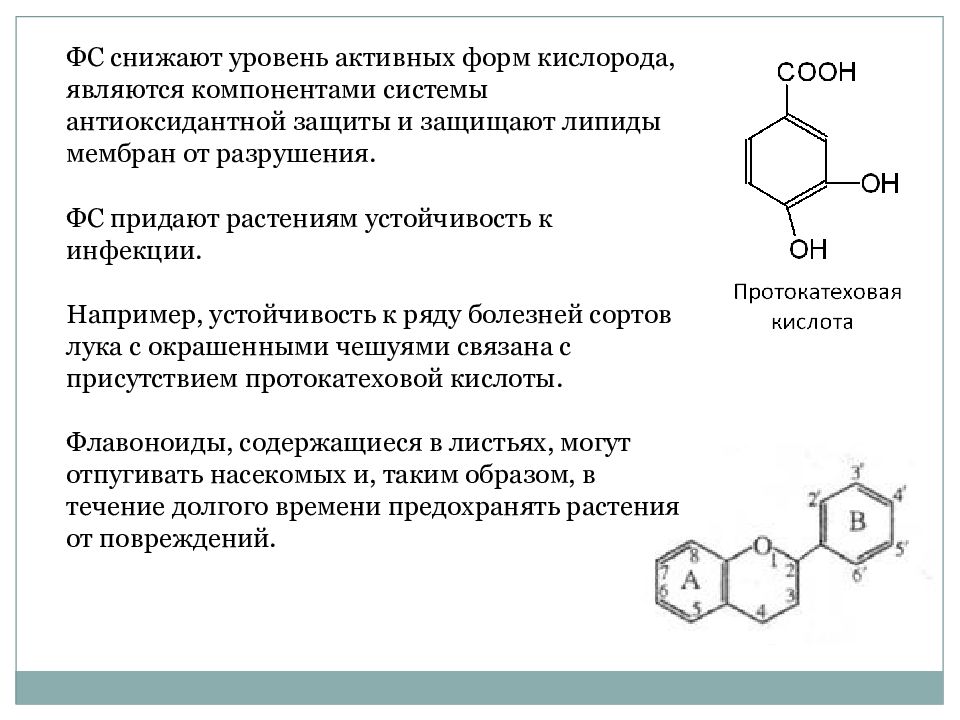 Вторичный метаболизм растений презентация