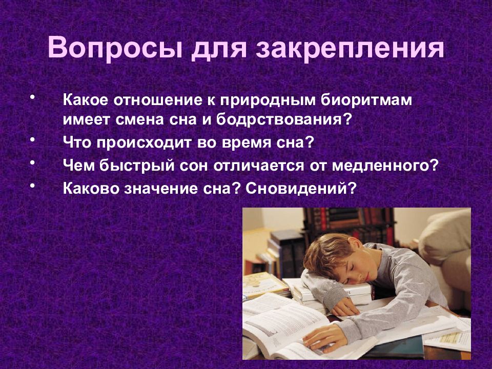 Сон и сновидения биология презентация