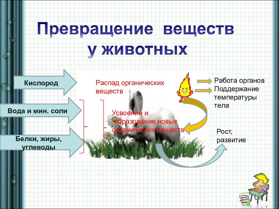 Схема превращение химия