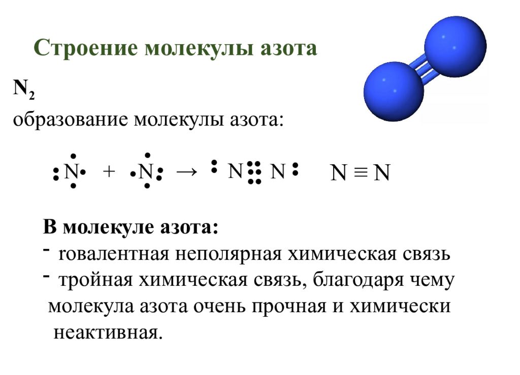 Определить массу 1 молекулы азота