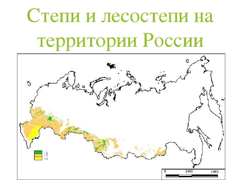 Географическое положение лесостепей и степей в россии