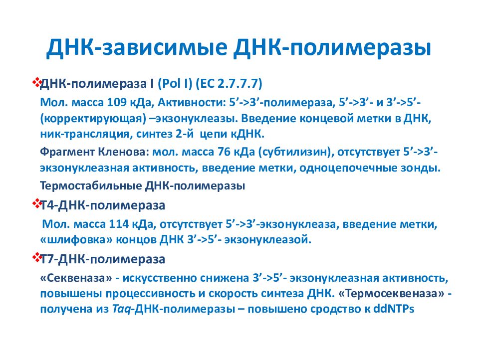 Работа днк. Термостабильная ДНК-полимераза. ДНК‑зависимая ДНК‑полимераза. ДНК зависимая полимераза. ДНК-зависимая РНК-полимераза.