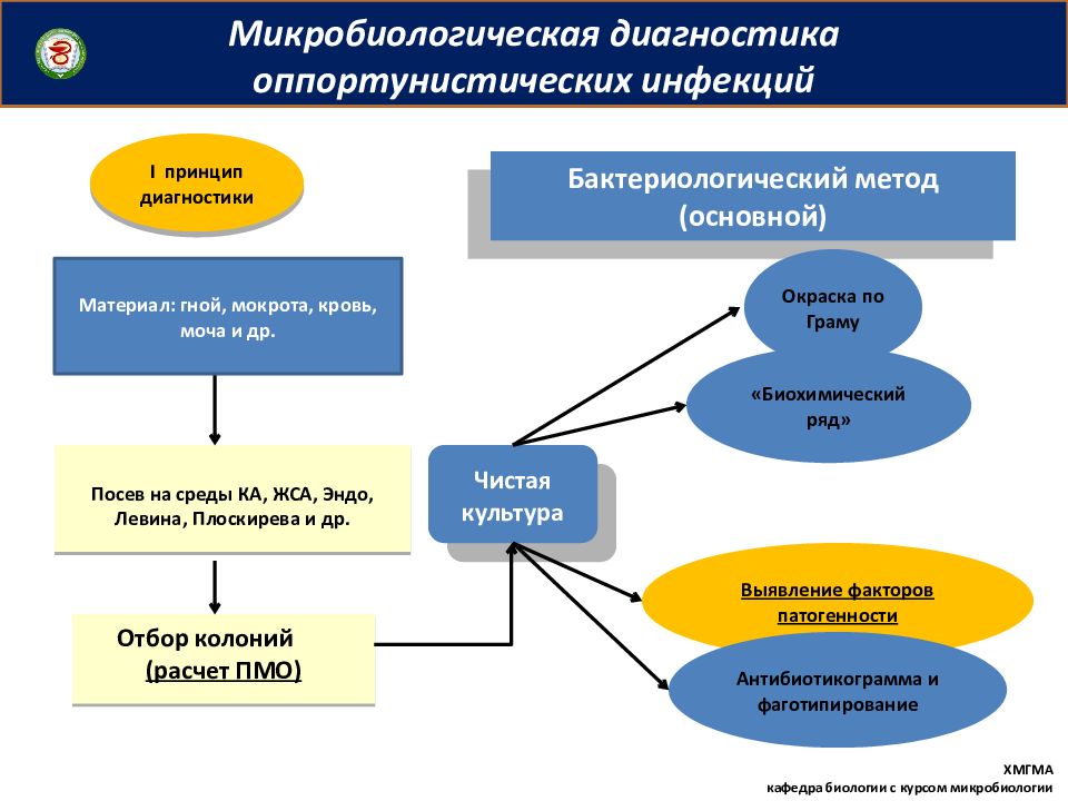 Принцип выявления. Основной метод диагностики оппортунистических инфекций. Микробиологическая диагностика оппортунистических инфекций. Микробиологические диагностика инфекйий. Принципы лабораторной диагностики оппортунистической инфекции.