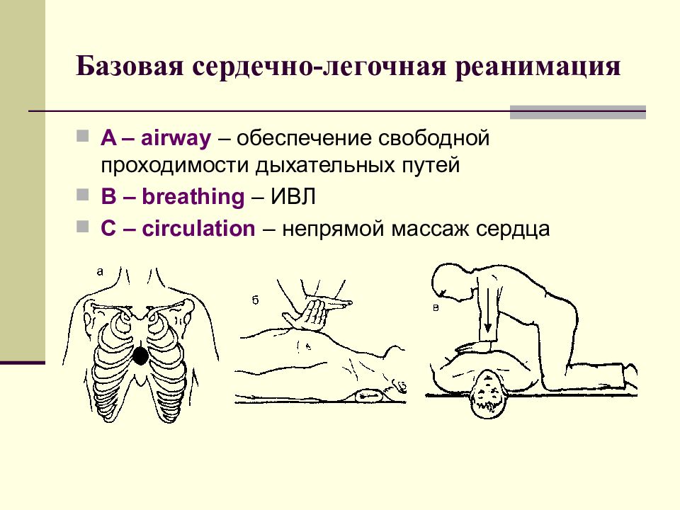 Этапы сердечно-легочной реанимации схема. Базовая сердечно-легочная реанимация. Базовая сердечно-легочная реанимаци. . Базовая сердечно – легочная реанимация (СЛР)..